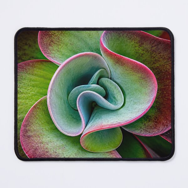 Item preview, Succulent designed and sold by andreisky.