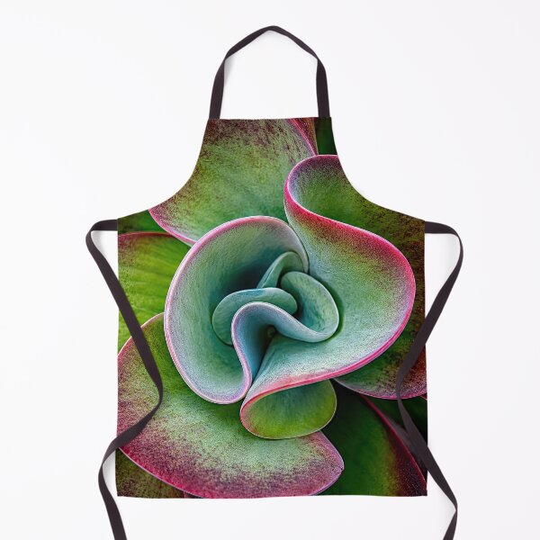 Item preview, Succulent designed and sold by andreisky.