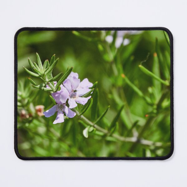 Item preview, A Little Unknown designed and sold by Eidetic Photos.