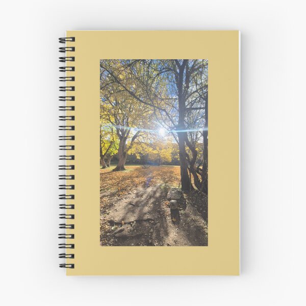 Item preview, Golden Autumn Light Burst Woodland Path designed and sold by NaturalChroma.