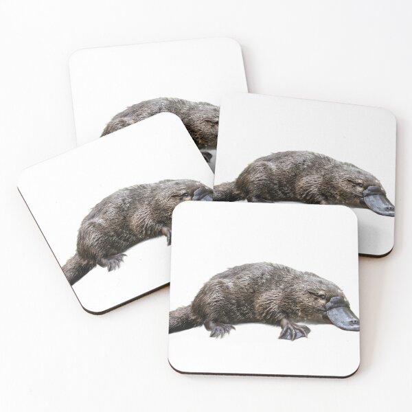 Item preview, Platypus: Venomous, Egg-Laying, Ridiculous designed and sold by Helt-enkelt.