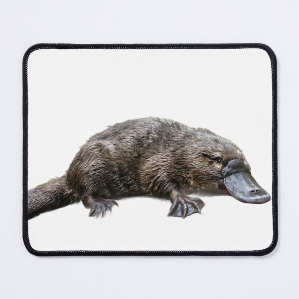 Item preview, Platypus: Venomous, Egg-Laying, Ridiculous designed and sold by Helt-enkelt.