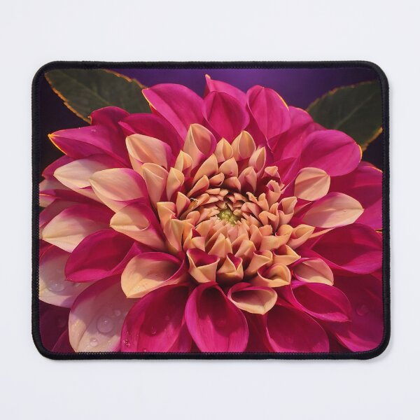 Item preview, Dark Fine ART - Dahlia designed and sold by ViolafleurViolett.