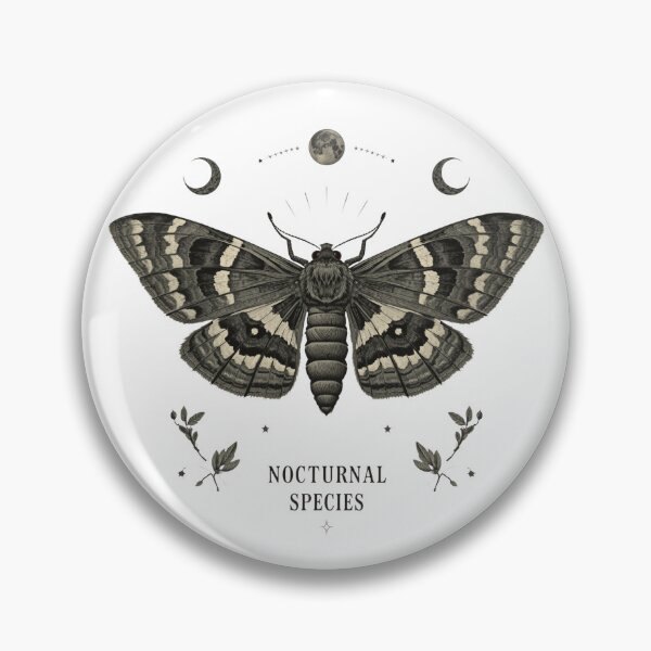 Item preview, Natural History Moth Victorian Plate designed and sold by ChicTrendz.