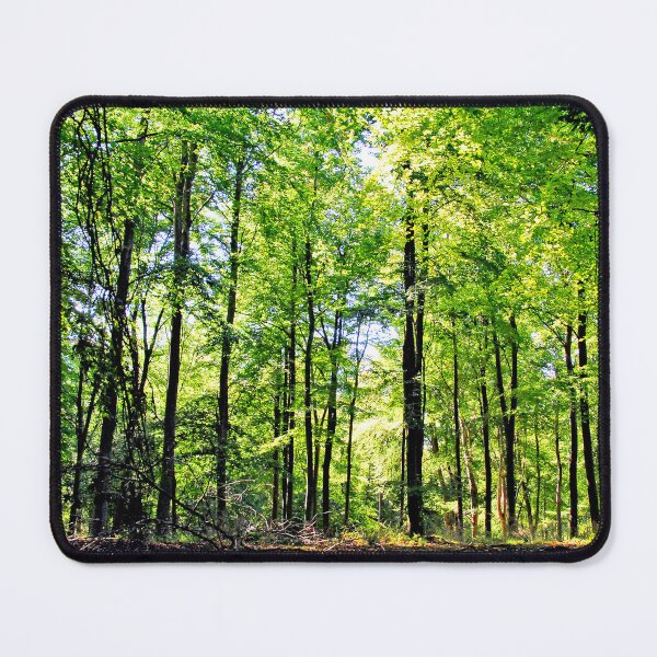 Item preview, Blackwood Forest Winchester Hampshire designed and sold by AndyEvansPhotos.