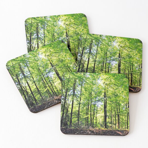 Item preview, Blackwood Forest Winchester Hampshire designed and sold by AndyEvansPhotos.