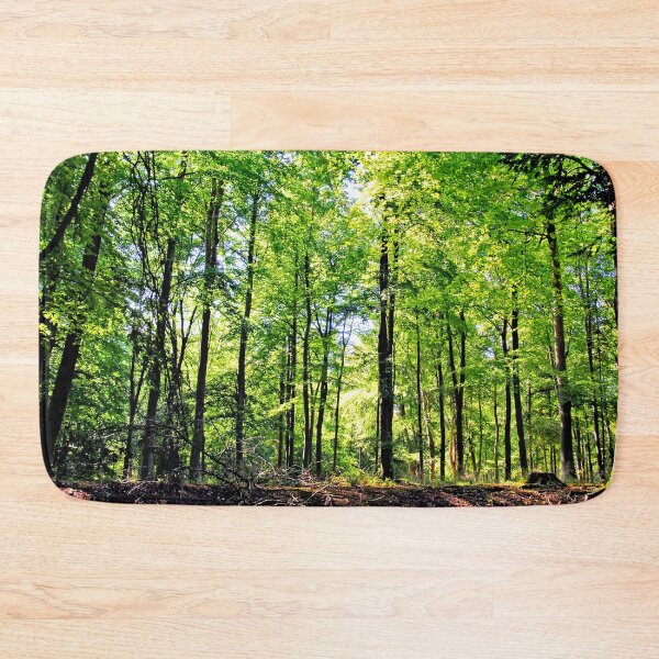 Item preview, Blackwood Forest Winchester Hampshire designed and sold by AndyEvansPhotos.