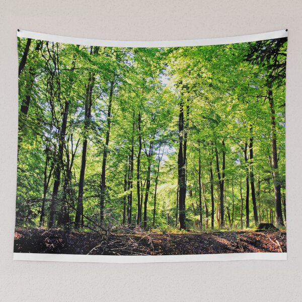 Item preview, Blackwood Forest Winchester Hampshire designed and sold by AndyEvansPhotos.