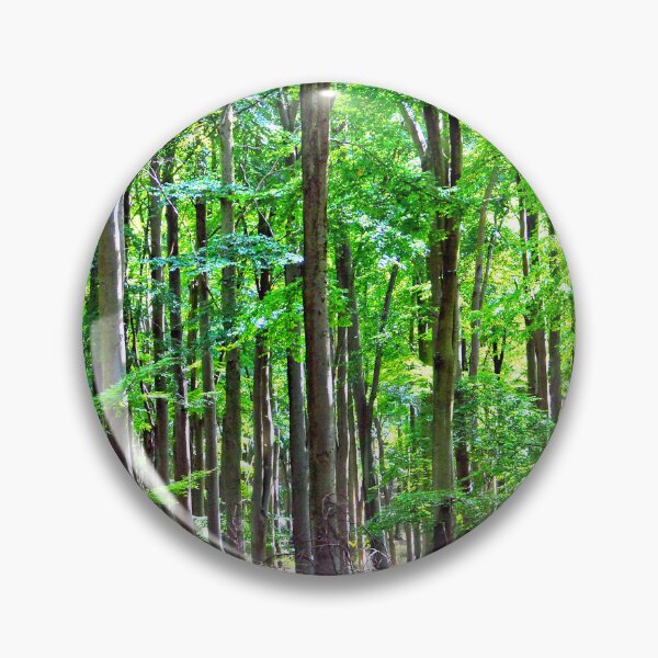 Item preview, Blackwood Forest Winchester Hampshire designed and sold by AndyEvansPhotos.