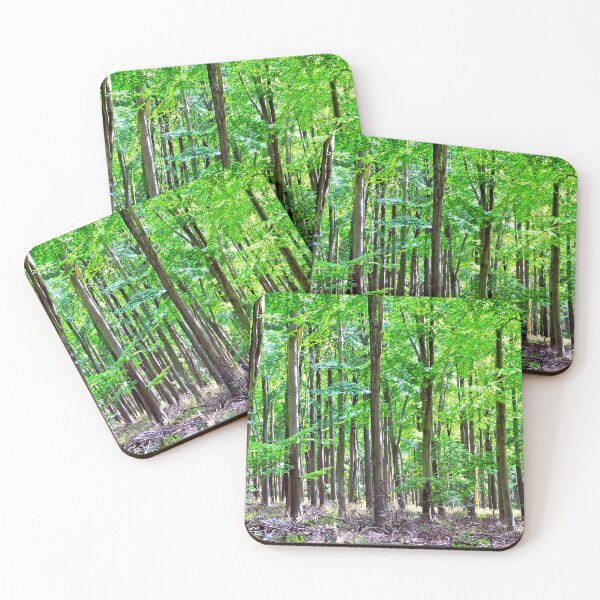 Item preview, Blackwood Forest Winchester Hampshire designed and sold by AndyEvansPhotos.