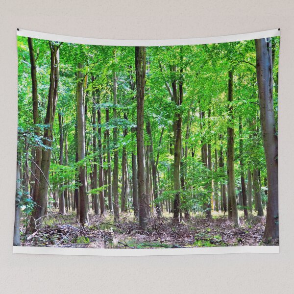 Item preview, Blackwood Forest Winchester Hampshire designed and sold by AndyEvansPhotos.