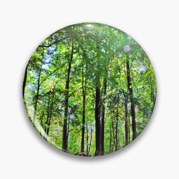 Item preview, Blackwood Forest Winchester Hampshire designed and sold by AndyEvansPhotos.