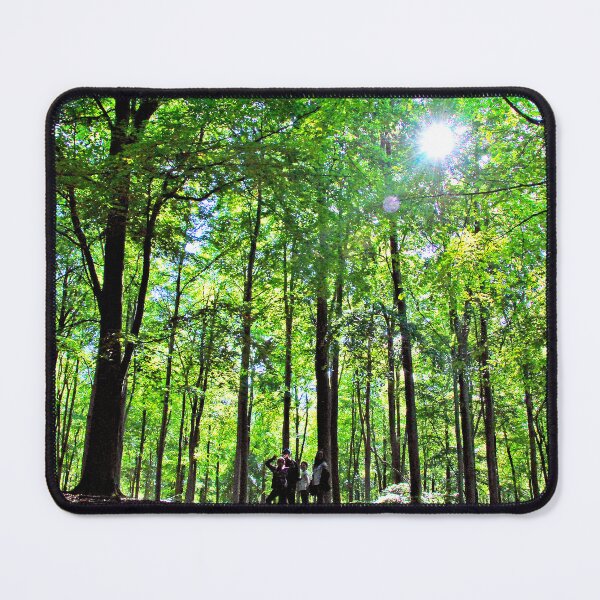 Item preview, Blackwood Forest Winchester Hampshire designed and sold by AndyEvansPhotos.