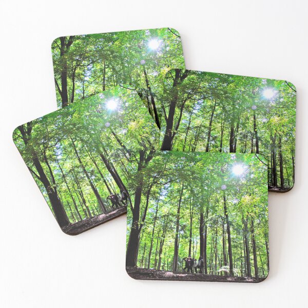 Item preview, Blackwood Forest Winchester Hampshire designed and sold by AndyEvansPhotos.