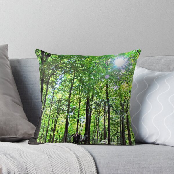 Item preview, Blackwood Forest Winchester Hampshire designed and sold by AndyEvansPhotos.