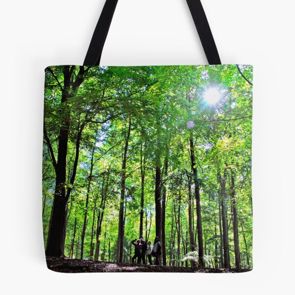 Item preview, Blackwood Forest Winchester Hampshire designed and sold by AndyEvansPhotos.