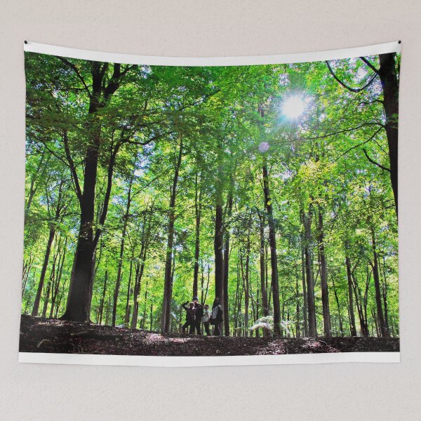 Item preview, Blackwood Forest Winchester Hampshire designed and sold by AndyEvansPhotos.
