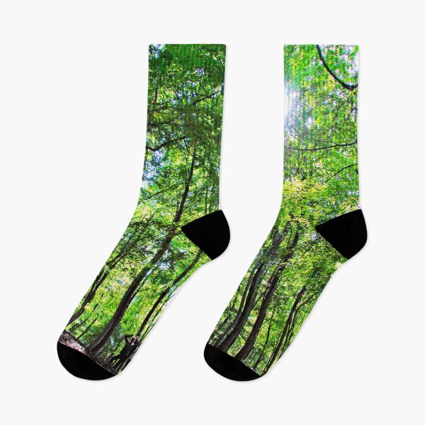 Item preview, Blackwood Forest Winchester Hampshire designed and sold by AndyEvansPhotos.