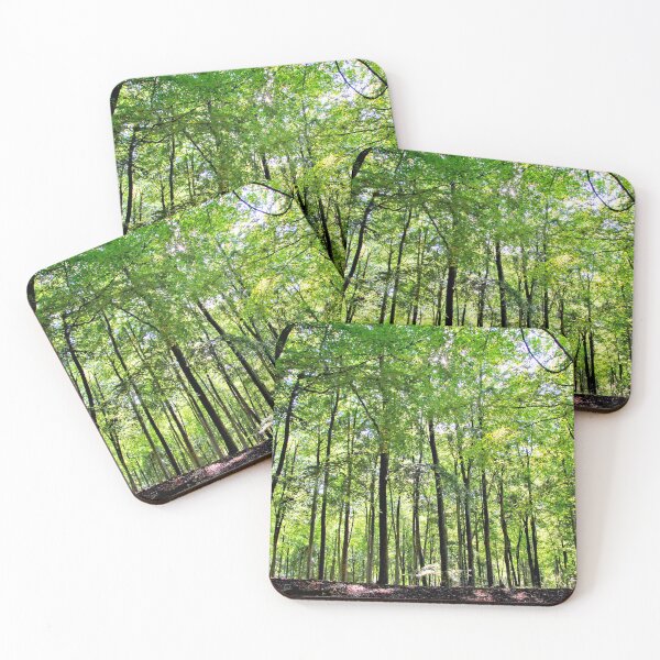 Item preview, Blackwood Forest Winchester Hampshire designed and sold by AndyEvansPhotos.