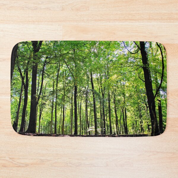 Item preview, Blackwood Forest Winchester Hampshire designed and sold by AndyEvansPhotos.