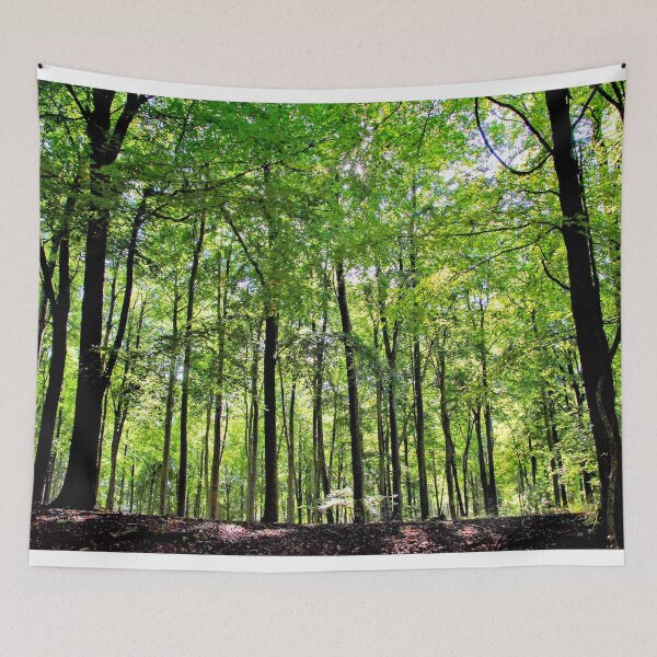 Item preview, Blackwood Forest Winchester Hampshire designed and sold by AndyEvansPhotos.