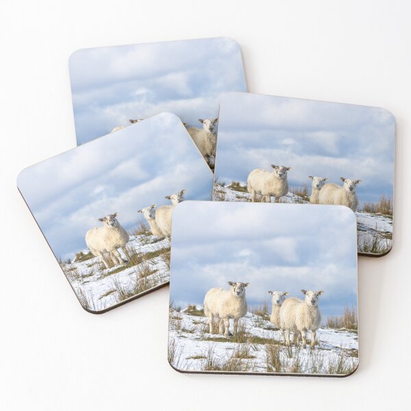 Item preview, Sheep in the Snow designed and sold by Jane Stanley Photography.