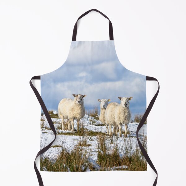 Artikelvorschau, Schafe im Schnee entworfen und verkauft von Jane Stanley Photography.