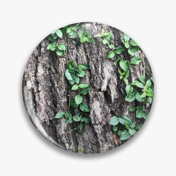 Item preview, Vines on Bark, no filter photograph designed and sold by GiSilver.