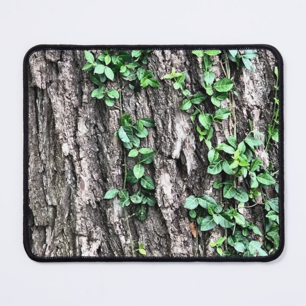Item preview, Vines on Bark, no filter photograph designed and sold by GiSilver.