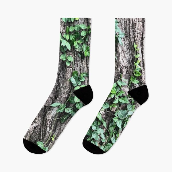 Item preview, Vines on Bark, no filter photograph designed and sold by GiSilver.