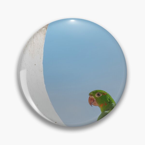 Item preview, Green Parakeet Peeking Through Window designed and sold by asun5.