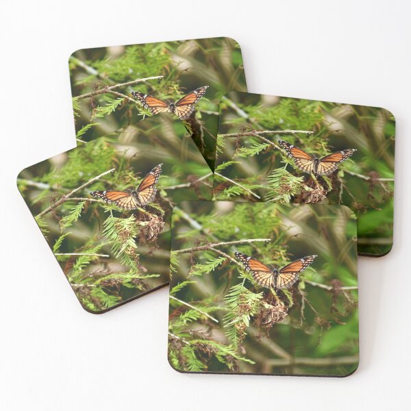 Item preview, Monarch in the Cypress designed and sold by Bayou Wonder.