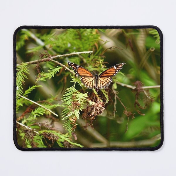 Item preview, Monarch in the Cypress designed and sold by Bayou Wonder.