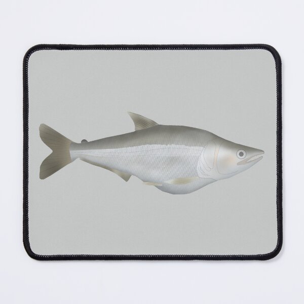 Item preview, Dientudo designed and sold by fishfolkart.