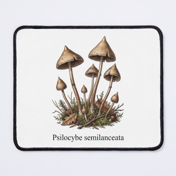 Item preview, Psilocybe Semilanceata Vintage Botanical Mushroom Illustration designed and sold by Sekla-Studio.