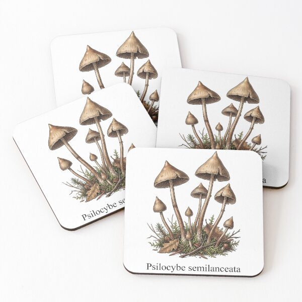 Item preview, Psilocybe Semilanceata Vintage Botanical Mushroom Illustration designed and sold by Sekla-Studio.