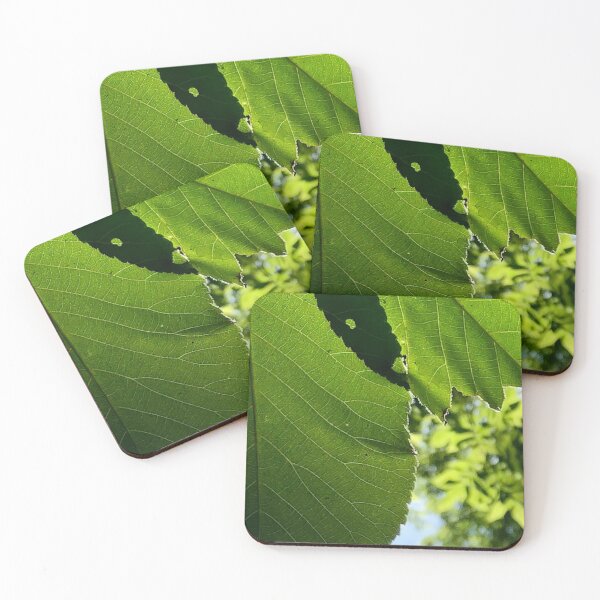 Item preview, Leaf Shadows, no filter photograph designed and sold by GiSilver.