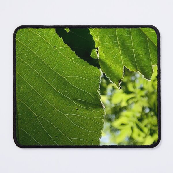 Item preview, Leaf Shadows, no filter photograph designed and sold by GiSilver.