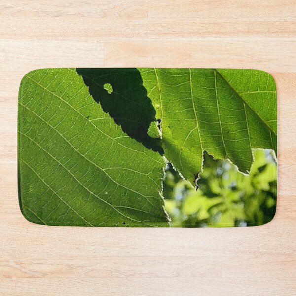 Item preview, Leaf Shadows, no filter photograph designed and sold by GiSilver.
