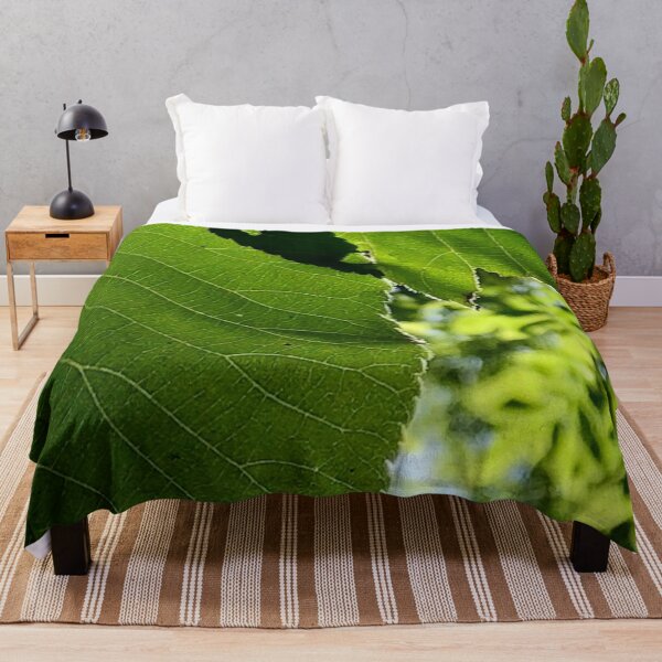 Item preview, Leaf Shadows, no filter photograph designed and sold by GiSilver.