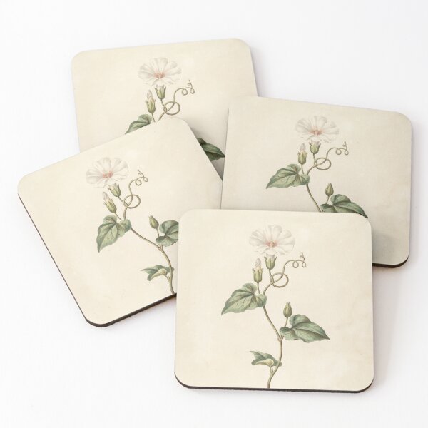 Item preview, Vintage Bindweed Botanical Illustration | Antique Climbing Flower Print designed and sold by NuvoraNest.