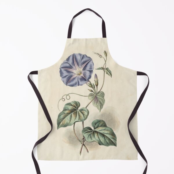 Item preview, Vintage Morning Glory Botanical Illustration designed and sold by NuvoraNest.