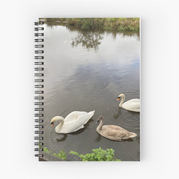 Item preview, Swan Family on River | British Wildlife Nature Photography designed and sold by ThatSurreyLife.