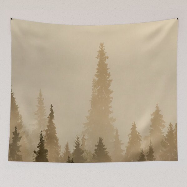 Item preview, The Spuces. Early Morning at Pahkanakallio 2 designed and sold by Jouko Lehto Photography.