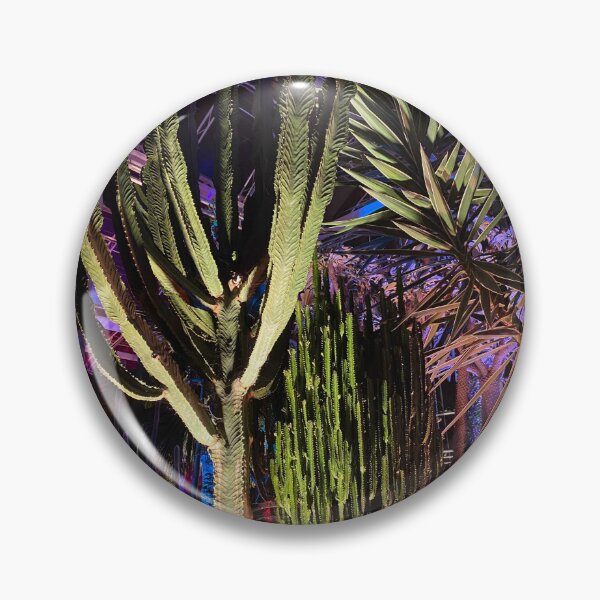 Item preview, Cactus Garden After Dark – RHS Wisley Glasshouse designed and sold by ThatSurreyLife.