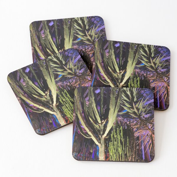Item preview, Cactus Garden After Dark – RHS Wisley Glasshouse designed and sold by ThatSurreyLife.