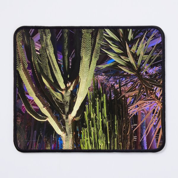 Item preview, Cactus Garden After Dark – RHS Wisley Glasshouse designed and sold by ThatSurreyLife.