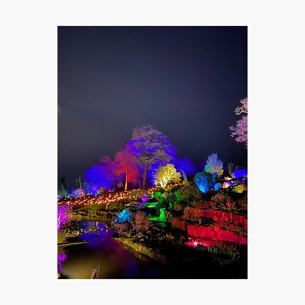 Item preview, Rainbow Garden – RHS Wisley Glow at Christmas designed and sold by ThatSurreyLife.