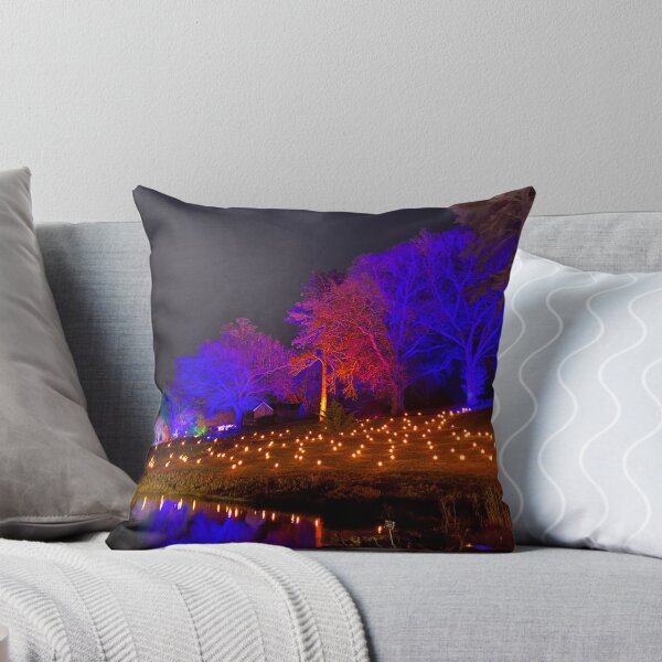 Item preview, Winter Lights Reflected – RHS Wisley Glow designed and sold by ThatSurreyLife.