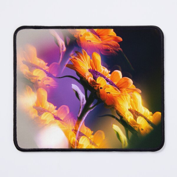 Item preview, Sunflower Reflecting designed and sold by JLW Photos.